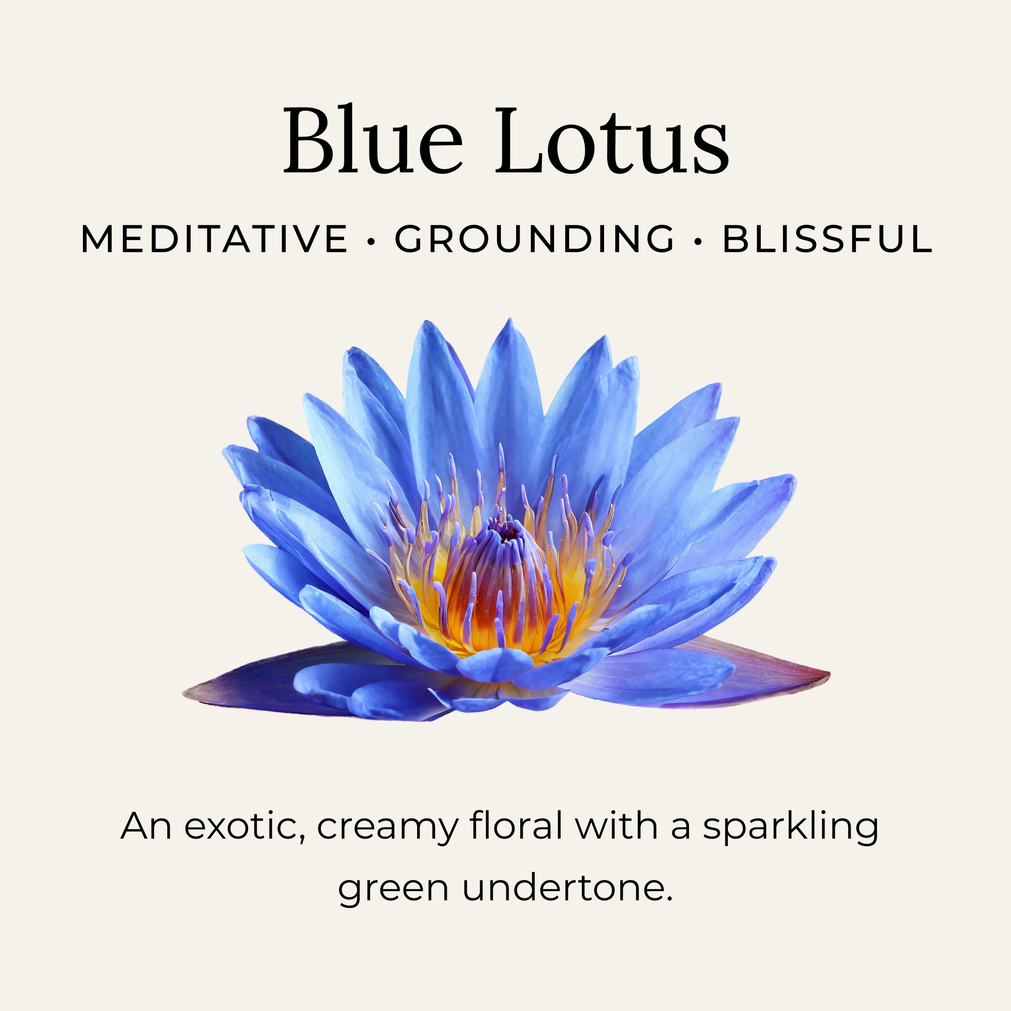 Blue Lotus Deodorant Cream